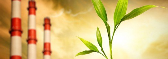 Lorem ipsum dolor sit amet.